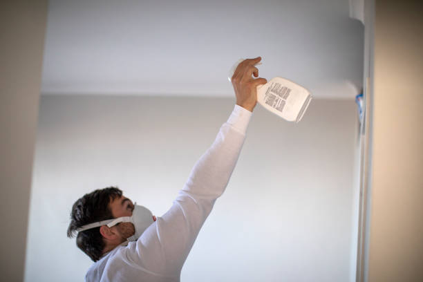 Reliable Terryville, CT Mold Removal Solutions