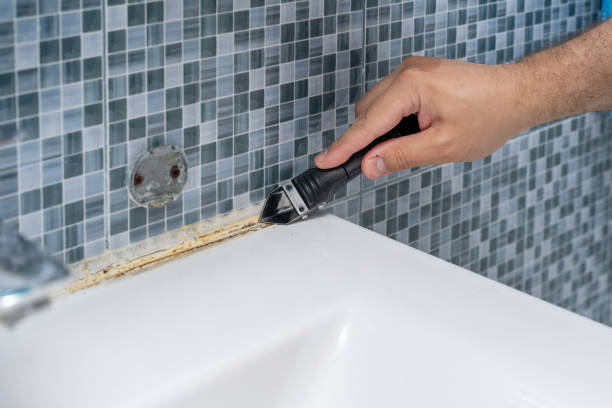 Best Attic Mold Removal  in Terryville, CT