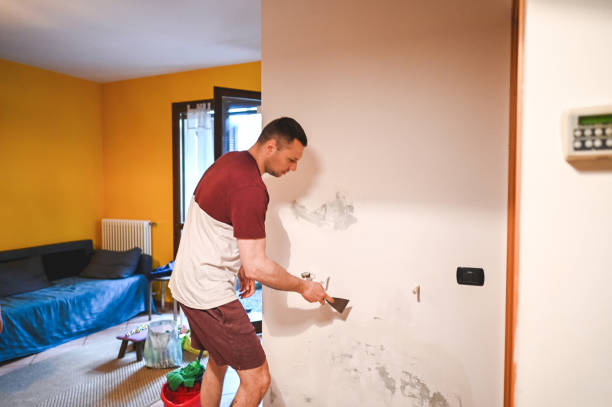Best Same-Day Mold Removal  in Terryville, CT